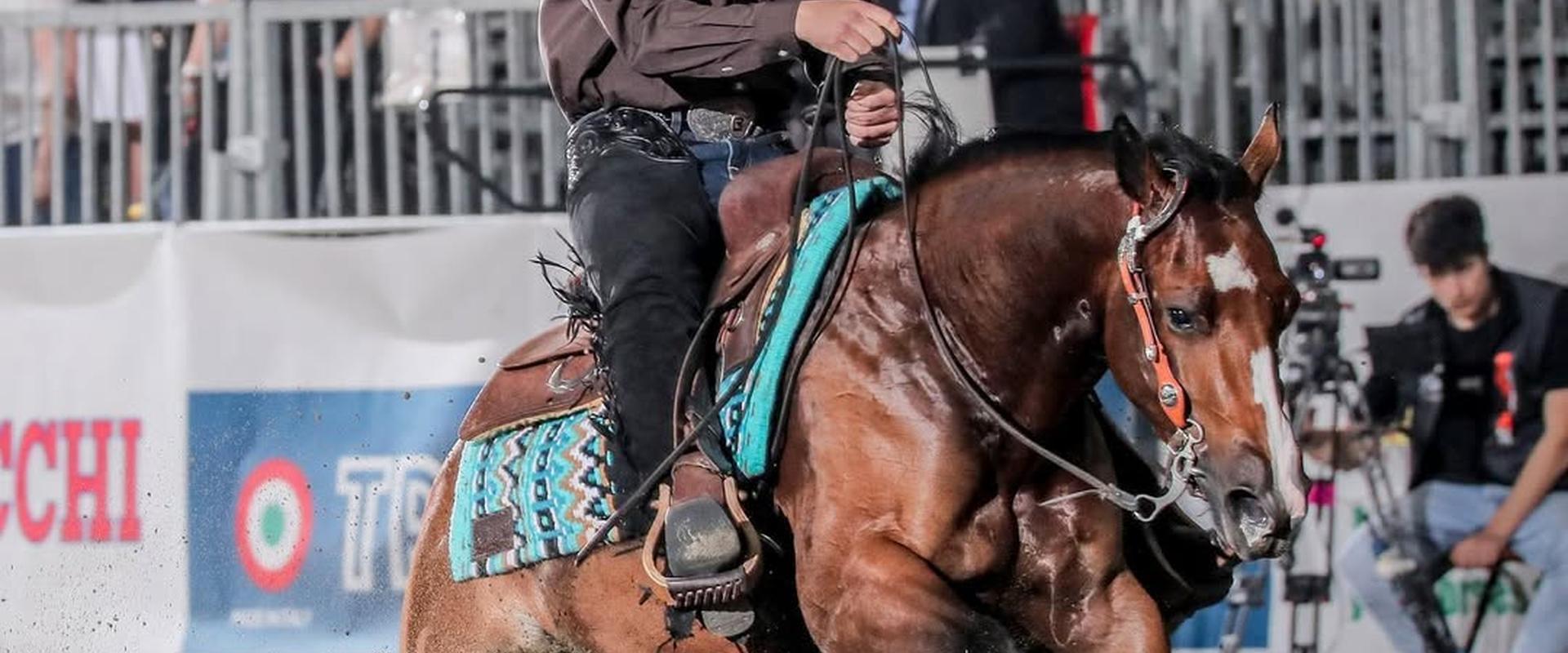 Il Salone del Cavallo Americano accende Cremona
