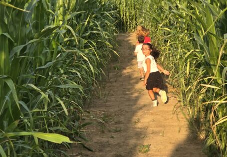 VisitCremona - Labirinto Edolavi: perdersi per ritrovarsi