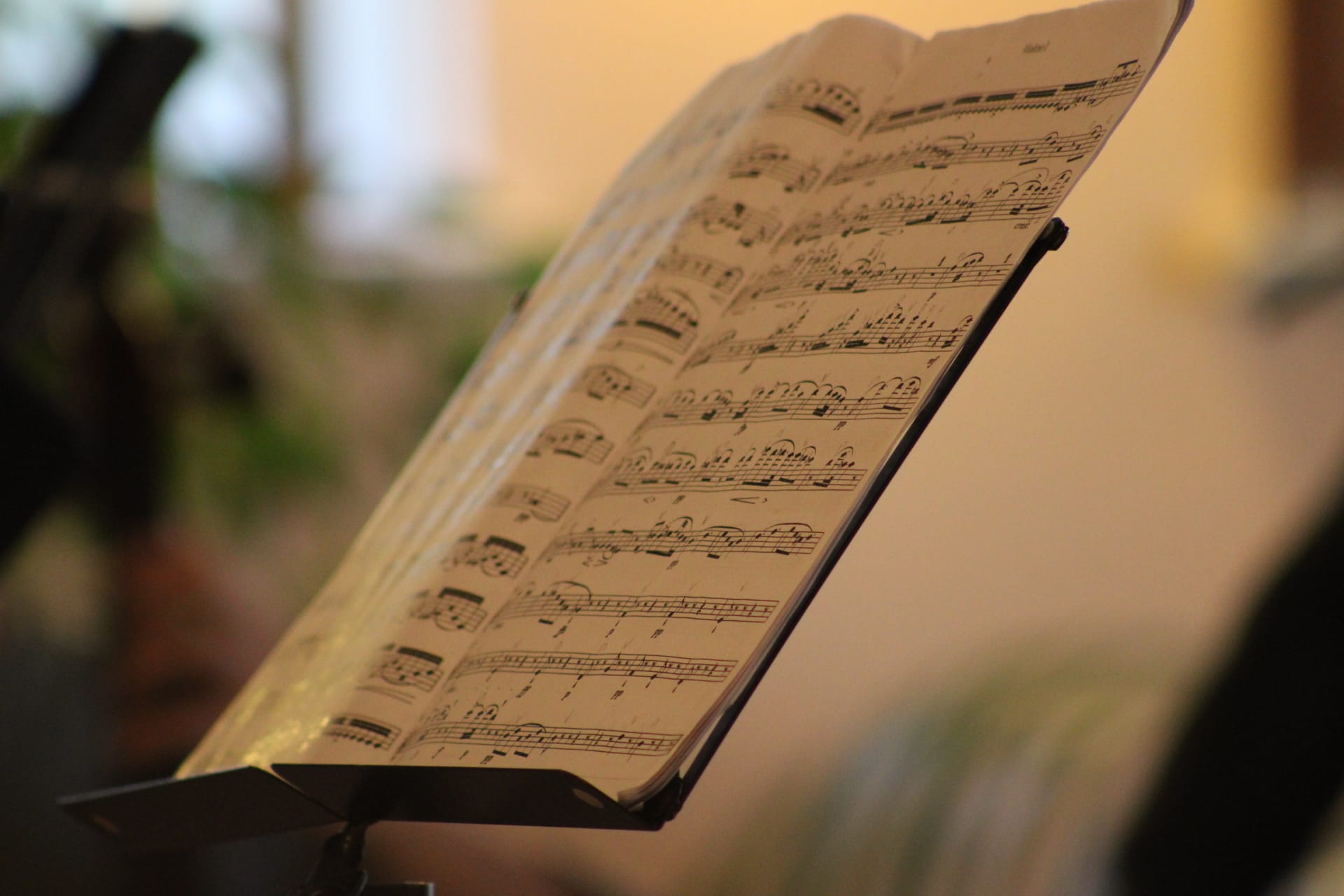 La musica che cura: Schubert e l’Agon Ensemble nei reparti dell’Ospedale di Cremona