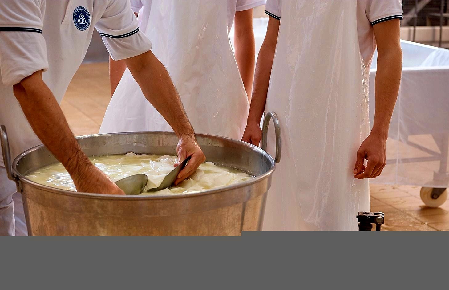 Pandino, tradizione e innovazione si incontrano: il Castello ospita il convegno “I formaggi a latte crudo. Difficoltà produttive e opportunità”