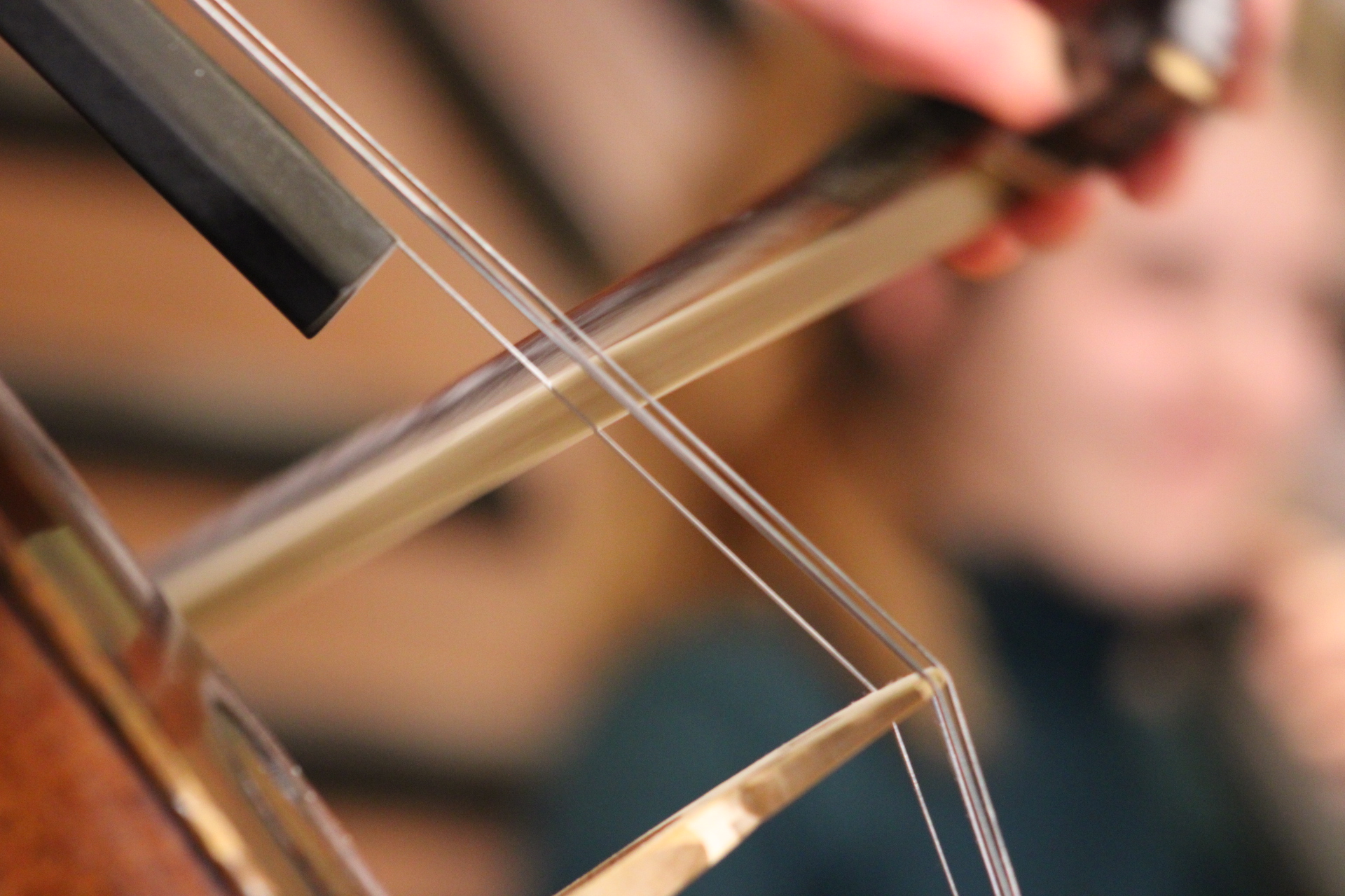 Bach e Weinberg al Museo del Violino: due serate con Mario Brunello e l’Accademia Stauffer